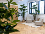 ČREPNÍKOVÁ MONSTERA VEĽKÁ - 1
